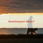 Ruminasyon Belirtileri Nelerdir?