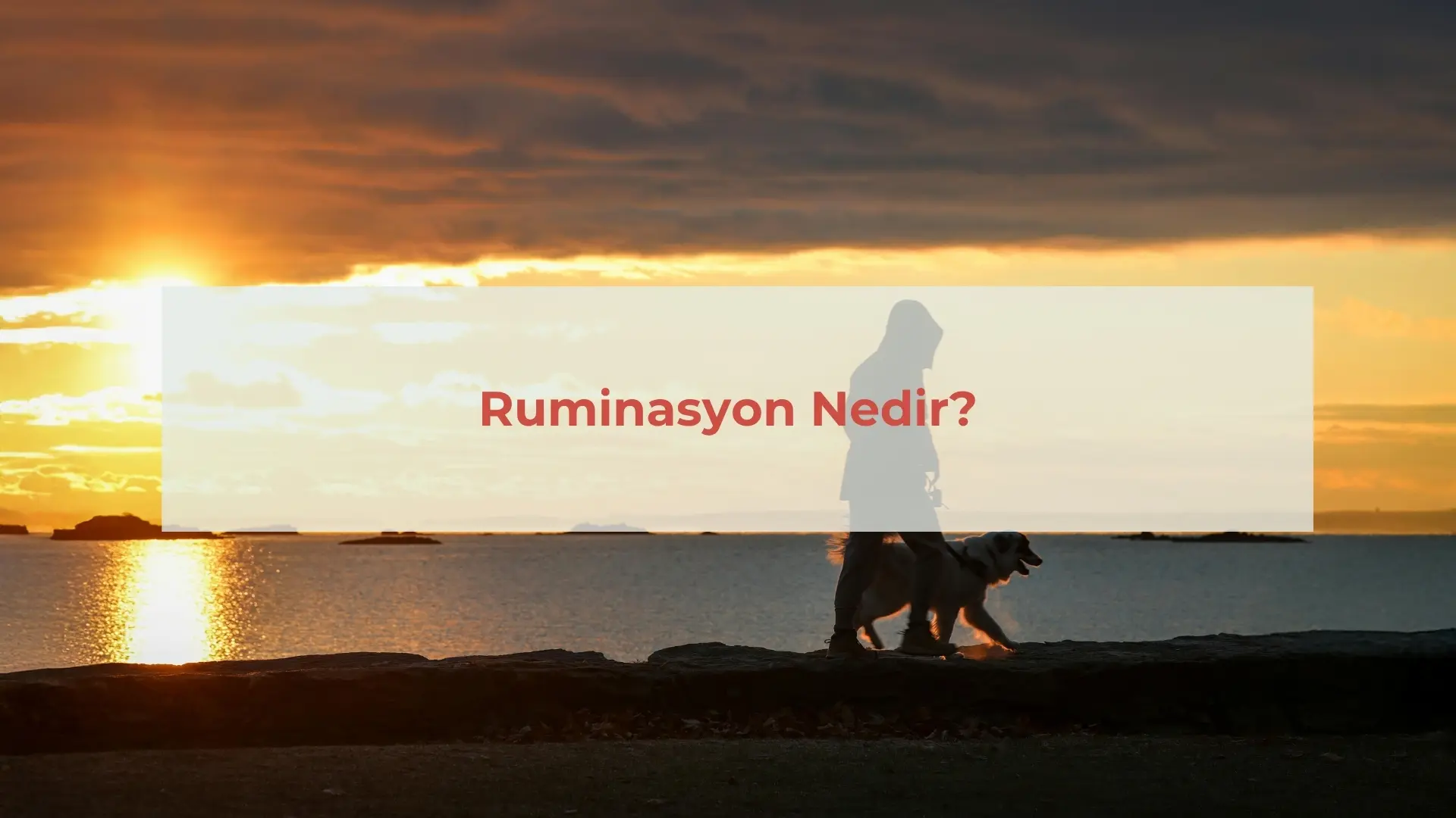 Ruminasyon Belirtileri Nelerdir?